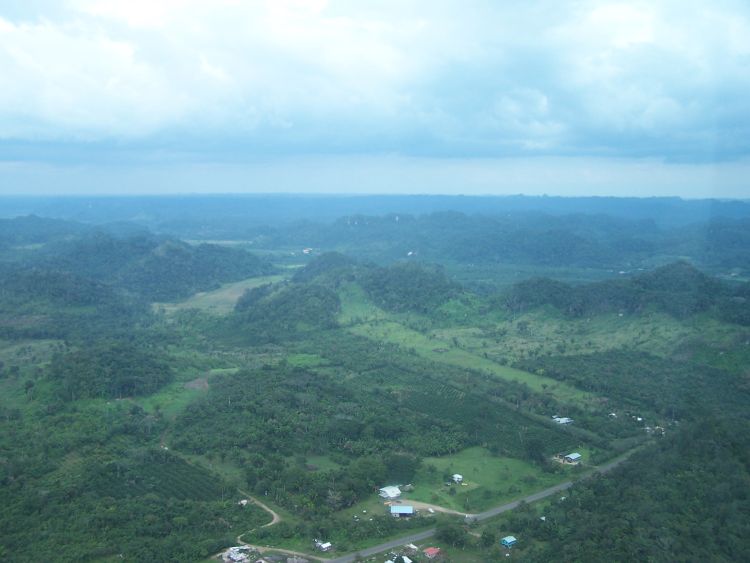 112%20Helicopter%20 %20Belize%20Landscape